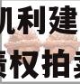 资阳市凯利建设投资2023年债权拍卖