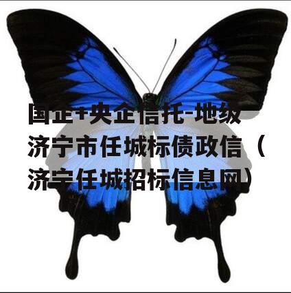 国企+央企信托-地级济宁市任城标债政信（济宁任城招标信息网）