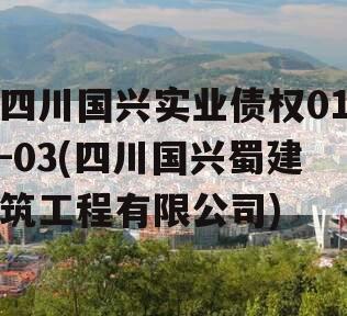 四川国兴实业债权01-03(四川国兴蜀建筑工程有限公司)