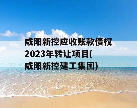 咸阳新控应收账款债权2023年转让项目(咸阳新控建工集团)