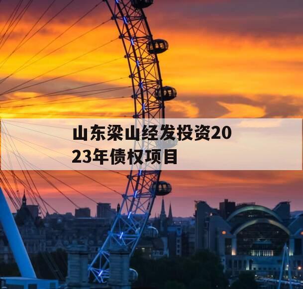 山东梁山经发投资2023年债权项目
