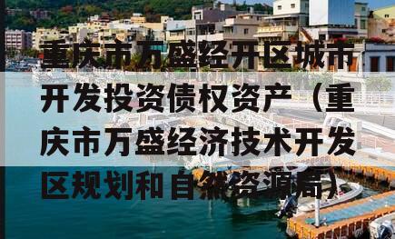 重庆市万盛经开区城市开发投资债权资产（重庆市万盛经济技术开发区规划和自然资源局）