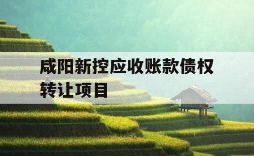 咸阳新控应收账款债权转让项目
