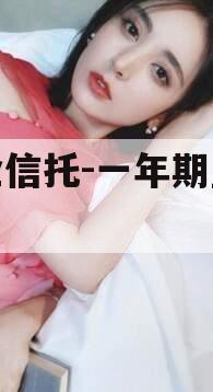 央企信托-一年期盐城项目
