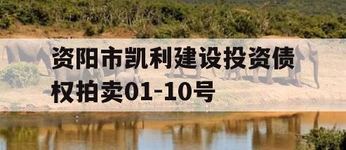 资阳市凯利建设投资债权拍卖01-10号