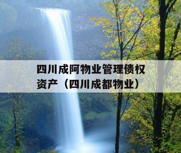 四川成阿物业管理债权资产（四川成都物业）