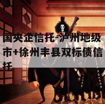 国央企信托-泸州地级市+徐州丰县双标债信托