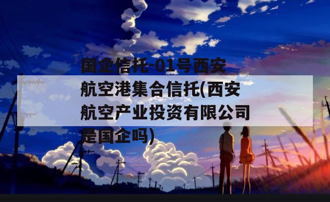 国企信托-01号西安航空港集合信托(西安航空产业投资有限公司是国企吗)