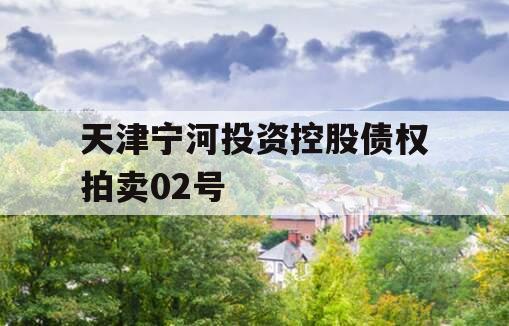 天津宁河投资控股债权拍卖02号