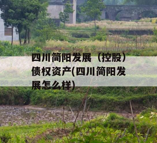 四川简阳发展（控股）债权资产(四川简阳发展怎么样)