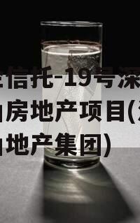 央企信托-19号深圳南山房地产项目(深圳南山地产集团)