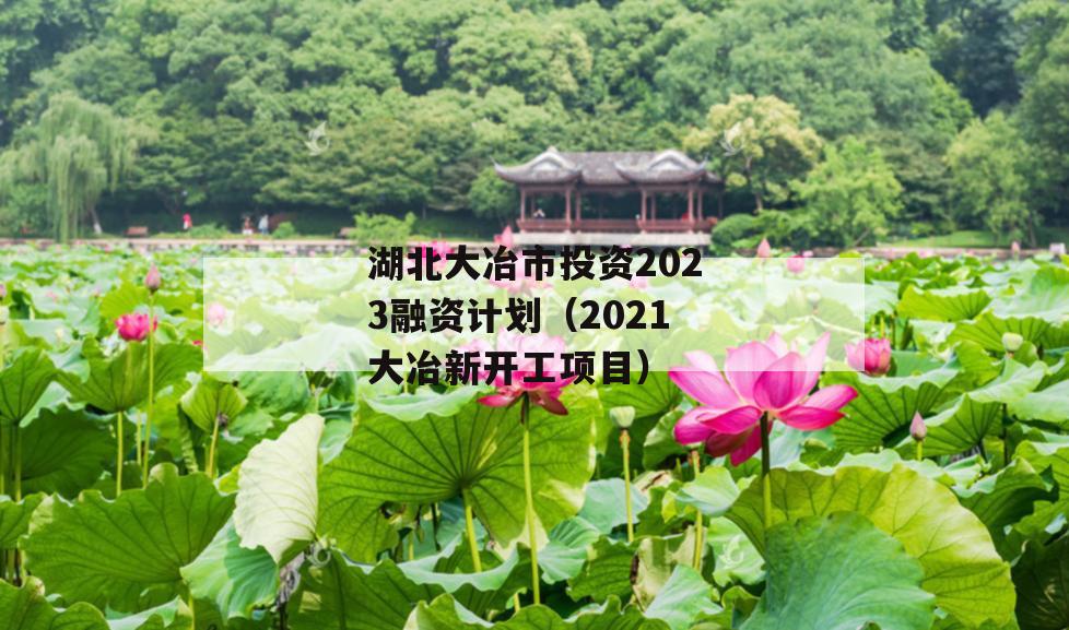 湖北大冶市投资2023融资计划（2021大冶新开工项目）