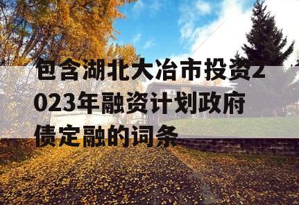 包含湖北大冶市投资2023年融资计划政府债定融的词条