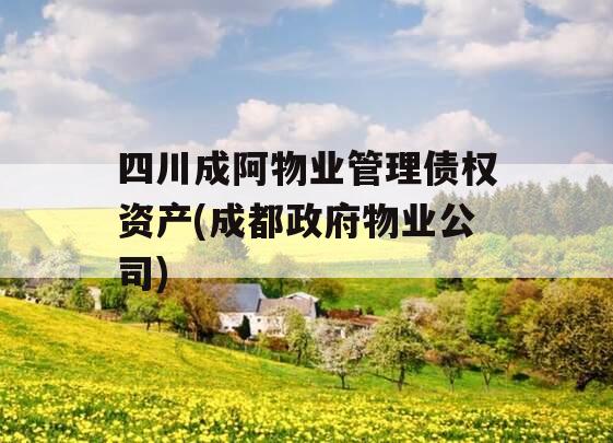 四川成阿物业管理债权资产(成都政府物业公司)