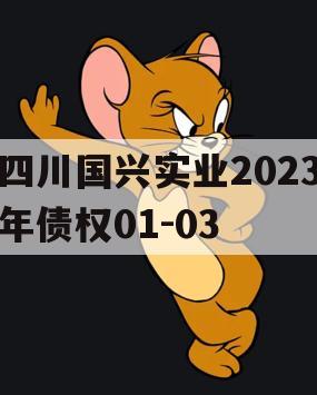 四川国兴实业2023年债权01-03