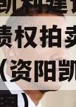 资阳市凯利建设投资2023年债权拍卖01-10号（资阳凯旋国际规划图）