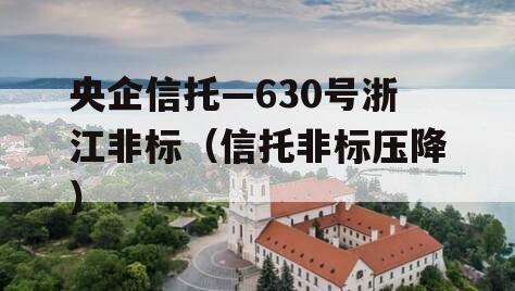 央企信托—630号浙江非标（信托非标压降）