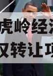 济源市虎岭经济发展2023债权转让项目