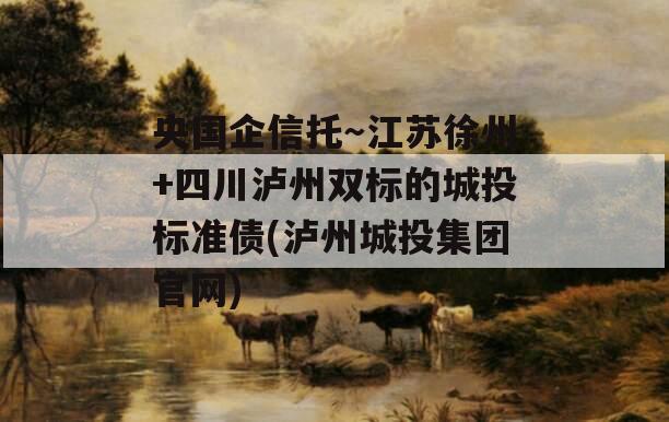 央国企信托～江苏徐州+四川泸州双标的城投标准债(泸州城投集团官网)