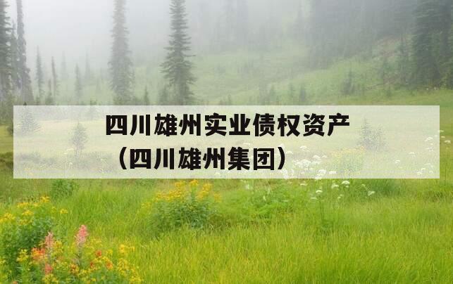 四川雄州实业债权资产（四川雄州集团）