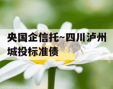央国企信托～四川泸州城投标准债