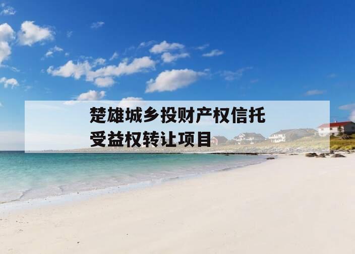 楚雄城乡投财产权信托受益权转让项目