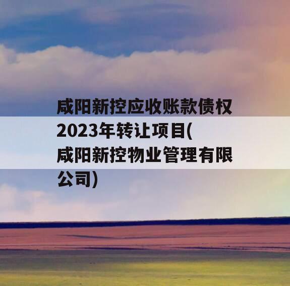 咸阳新控应收账款债权2023年转让项目(咸阳新控物业管理有限公司)