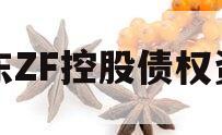 山东ZF控股债权资产