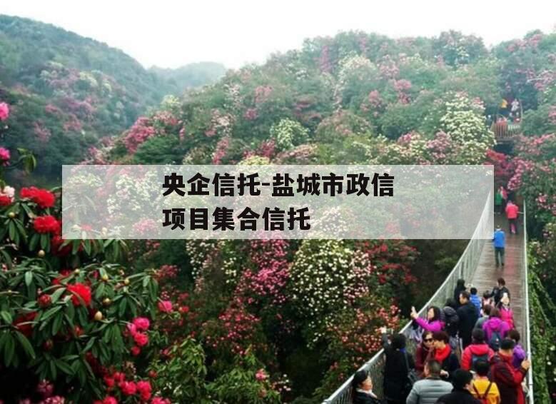 央企信托-盐城市政信项目集合信托