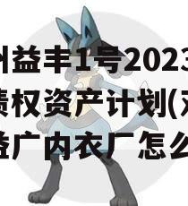 邓州益丰1号2023年债权资产计划(邓州市益广内衣厂怎么样)