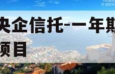 大央企信托-一年期盐城项目