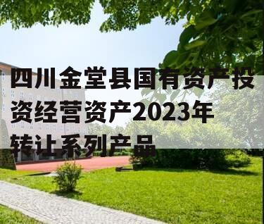 四川金堂县国有资产投资经营资产2023年转让系列产品