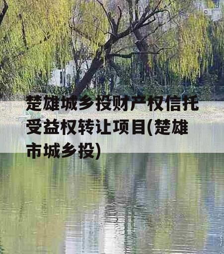 楚雄城乡投财产权信托受益权转让项目(楚雄市城乡投)