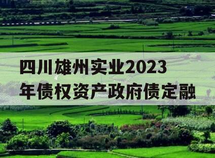 四川雄州实业2023年债权资产政府债定融