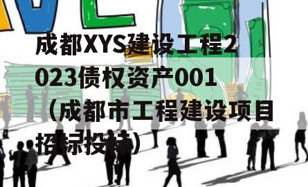 成都XYS建设工程2023债权资产001（成都市工程建设项目招标投标）
