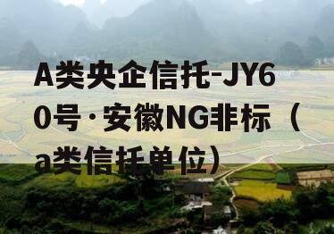 A类央企信托-JY60号·安徽NG非标（a类信托单位）