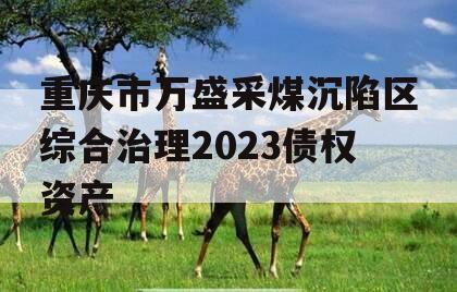重庆市万盛采煤沉陷区综合治理2023债权资产