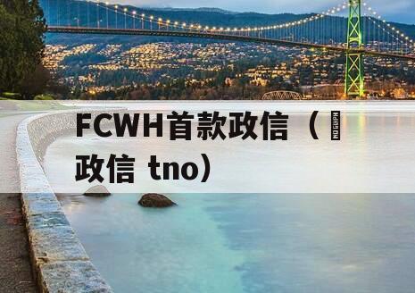 FCWH首款政信（辻政信 tno）