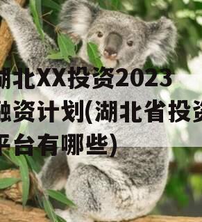 湖北XX投资2023融资计划(湖北省投资平台有哪些)