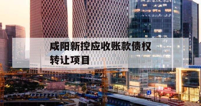 咸阳新控应收账款债权转让项目