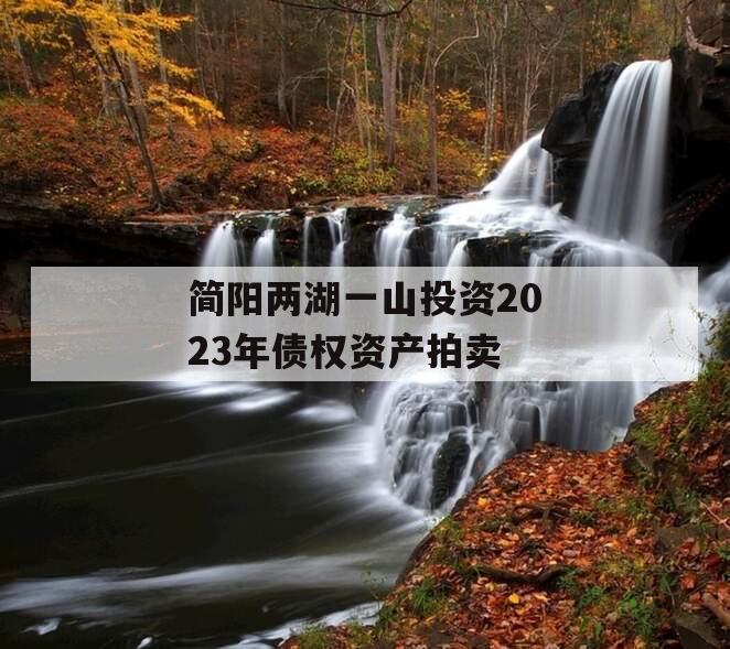 简阳两湖一山投资2023年债权资产拍卖