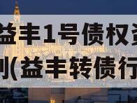 DZ益丰1号债权资产计划(益丰转债行情)