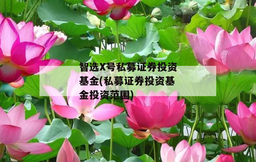 智选X号私募证券投资基金(私募证券投资基金投资范围)