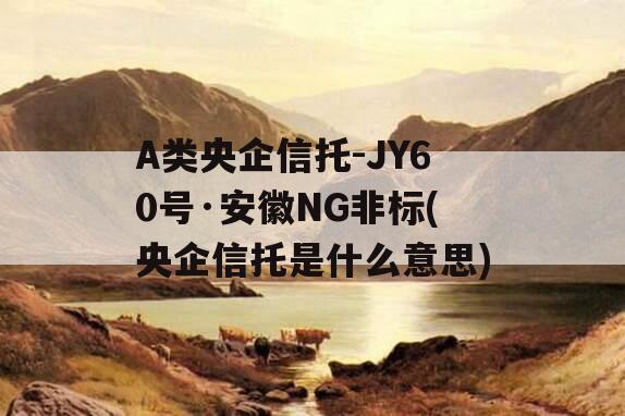 A类央企信托-JY60号·安徽NG非标(央企信托是什么意思)