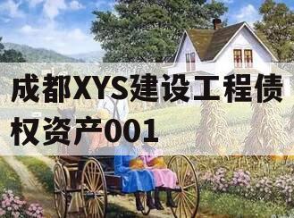 成都XYS建设工程债权资产001