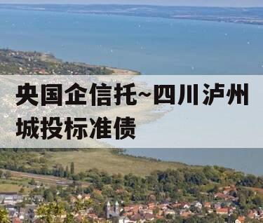 央国企信托～四川泸州城投标准债
