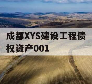 成都XYS建设工程债权资产001