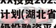 湖北XX投资2023融资计划(湖北省有哪些省级投融资平台)
