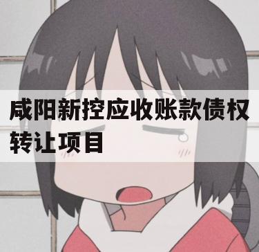 咸阳新控应收账款债权转让项目