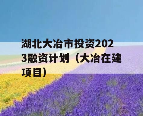 湖北大冶市投资2023融资计划（大冶在建项目）